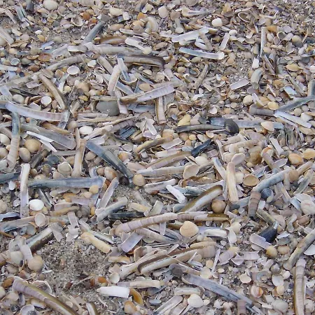 Lejlighed Haus Nordseeresidenz 32 Vesterland